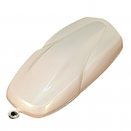 LC2X-11 Green Pearl (그린펄) 메탈릭 페인트