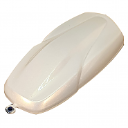 LC2X-12 Flash Gold (플래시 골드) 메탈릭 페인트